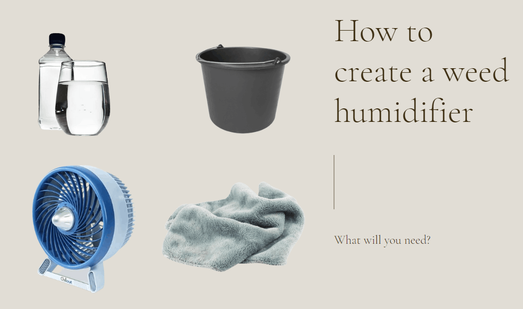 a homemade humidifier for maintaining an optimal humidity level for weed growing
