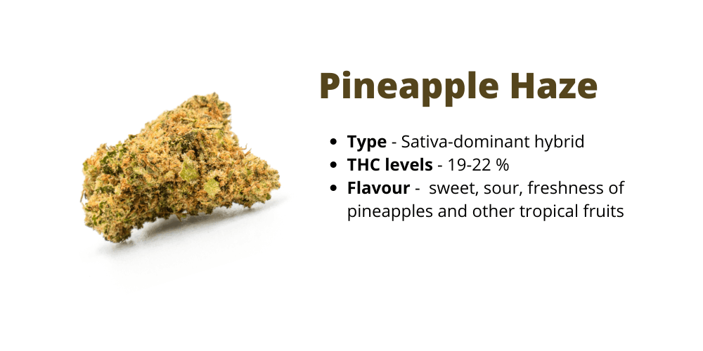 pineapple haze strain