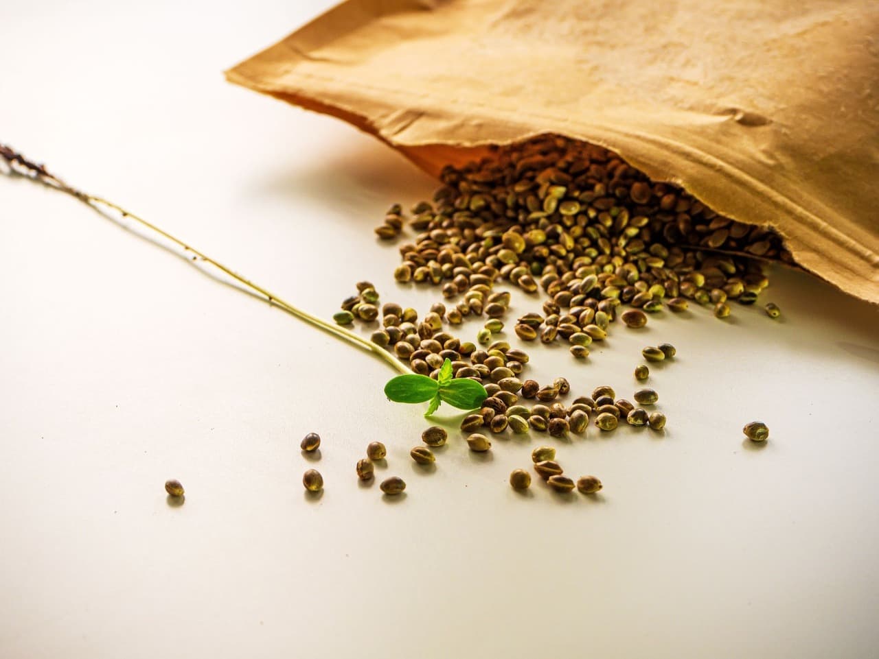 how to store marijuana seeds