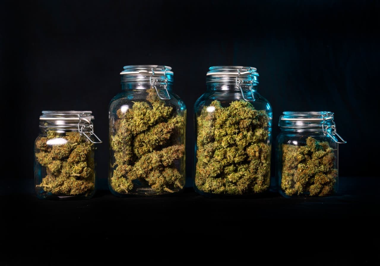cannabis in glass jars