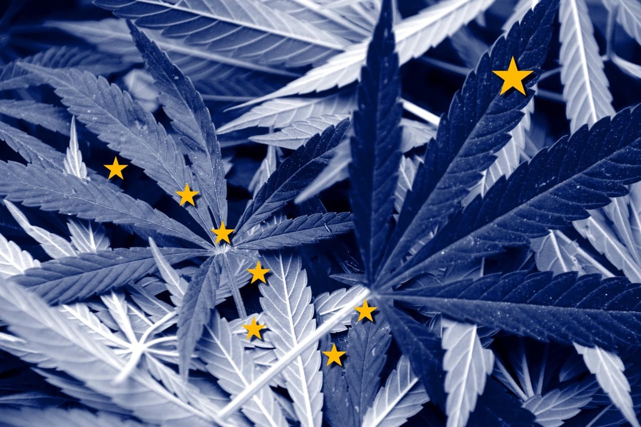 cannabis in alaska