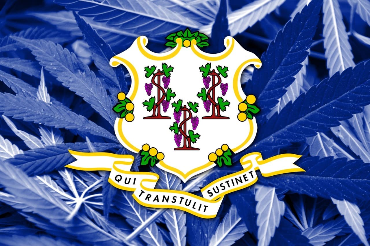 cannabis in connecticut