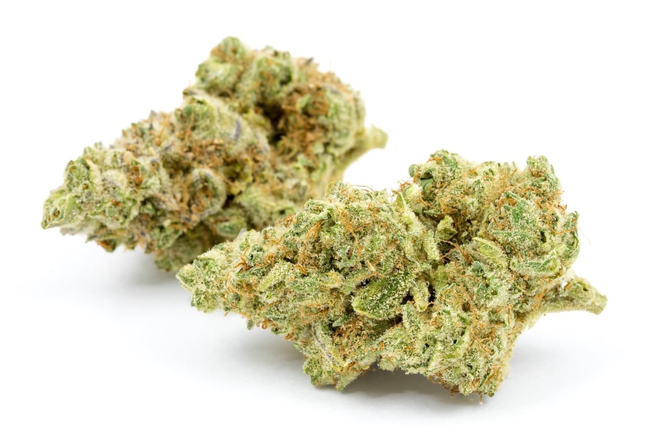buy cannabis seeds in Colorado