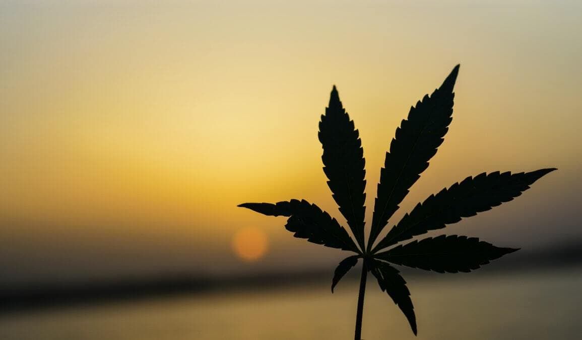 Cannabis leaf silhouette against sunset
