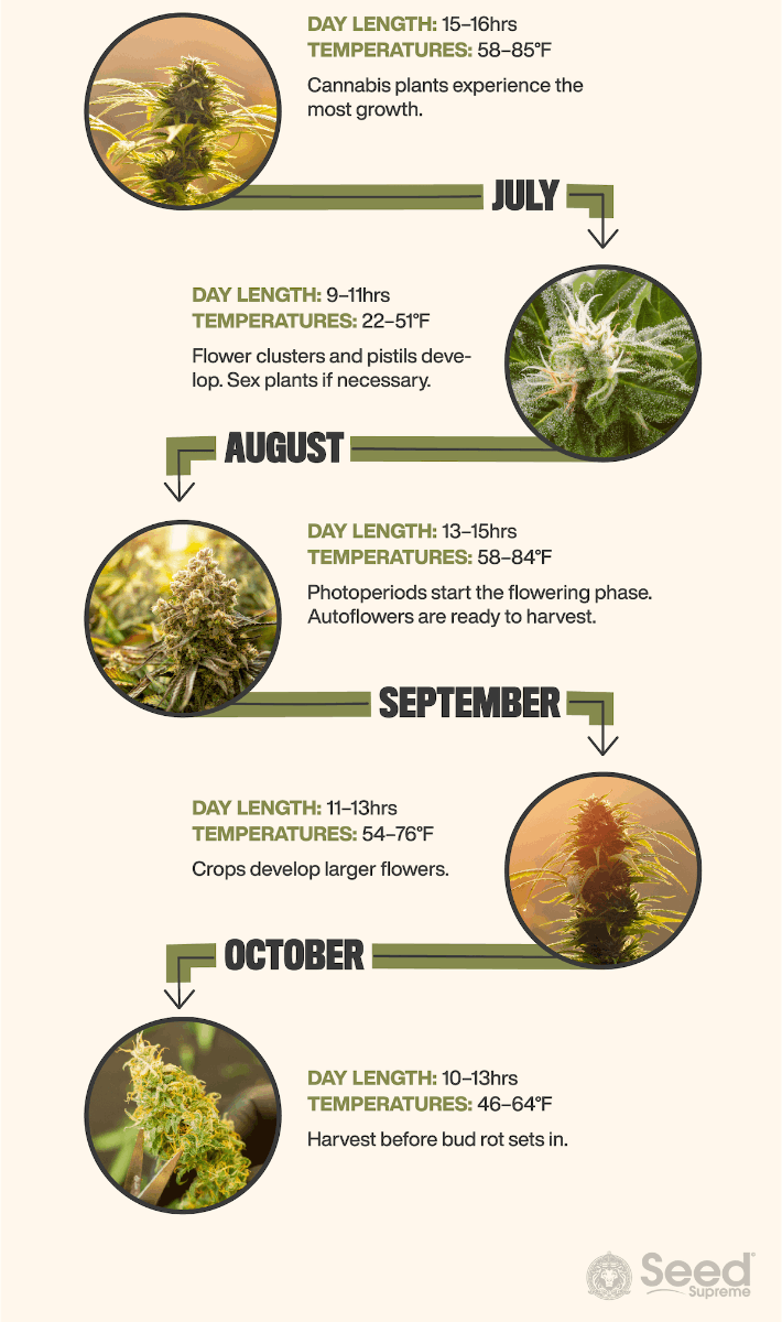 Outdoor Grow Calendar Get Your Timing Right Seed Supreme