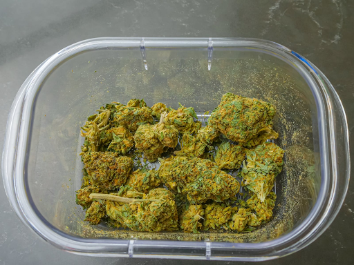 growing cannabis buds in Michigan