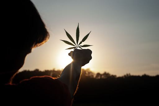 marijuana law in utah