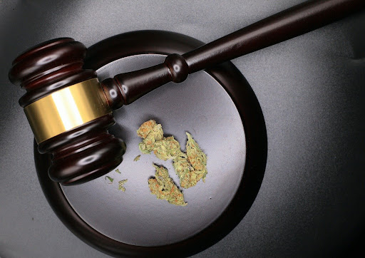 marijuana law in montana